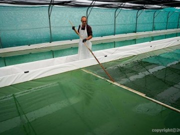 La Cabane à Spiruline - CHAUMES-EN-RETZ