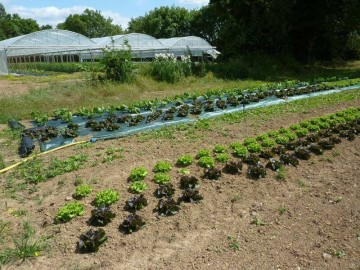 LES JARDINS DE LA COCCINELLE D gustations et produits du terroir