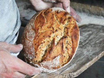 Le Local à Pain