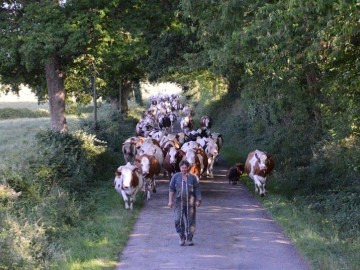 ©ferme-de-la-fouardière