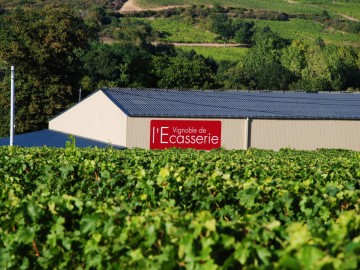 Vignoble de l'Ecasserie