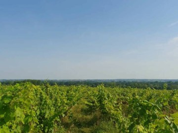 Domaine de la Créchette