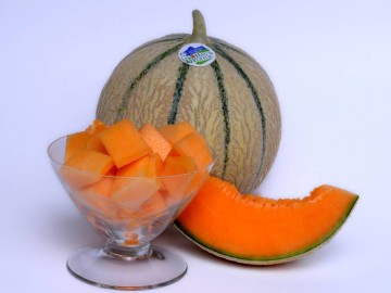 melon du haut poitou