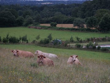 © la Ferme d'Avril