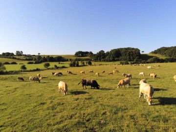 Ferme de la Gourdaine