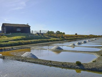 Vendée des Iles