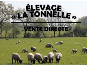 ÉLEVAGE LA TONNELLE