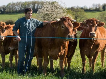 © Communauté de Communes du Pays de la Châtaigneraie