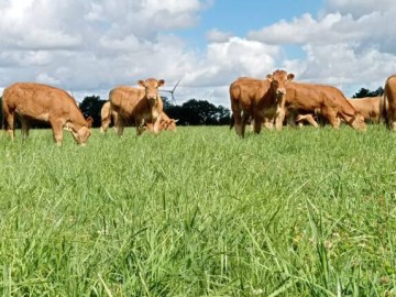 La ferme Beotop