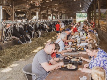 Ferme lait prés verts