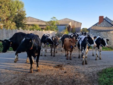 Visite guidée de la ferme Du 23 au 30 oct 2024