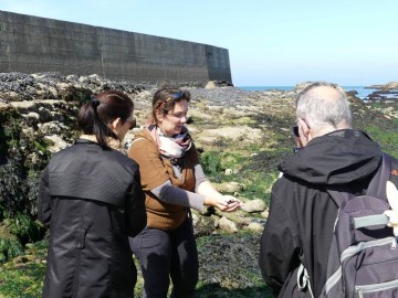 Balade Gourmande - Les légumes de la mer Du 4 au 19 oct 2024