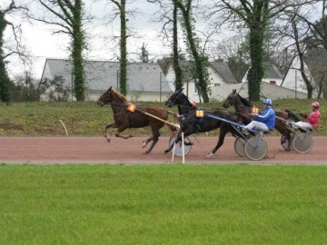 Courses hippiques a Pont-Chateau Du 1 nov au 22 déc 2024