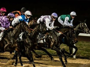 COURSES DE GALOP Du 13 nov au 29 déc 2024