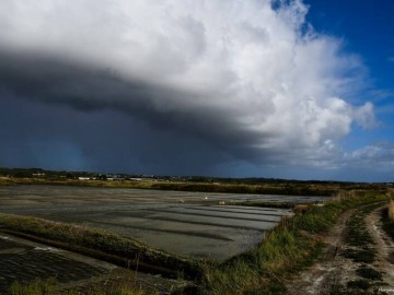 Visite - La météo automnale du paludier Le 28 sept 2024