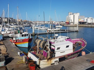 JOURNEES EUROPEENNES DU PATRIMOINE - VISITE GUIDEE "LES SABLES... Le 21 sept 2024