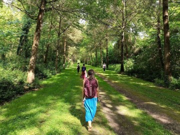 Bain de forêt et de sons au parc du Château du Martreil Le 13 oct 2024