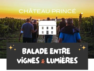 Chateau Princé