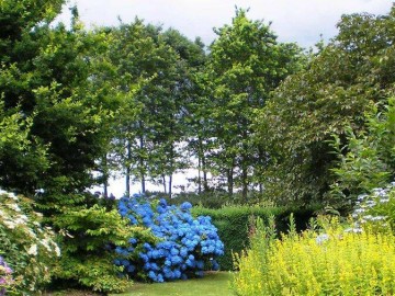 Jardins des renaudies