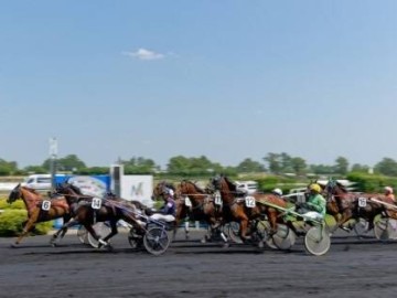 Hippodrome de la Bretonnière