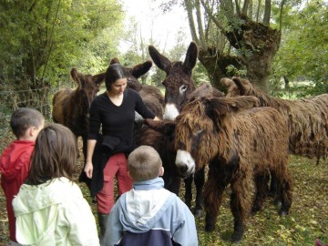 Ferme du Marais poitevin