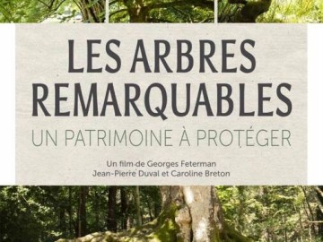 Film les arbres remarquables