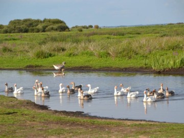 Clévacances Loire-atlantique