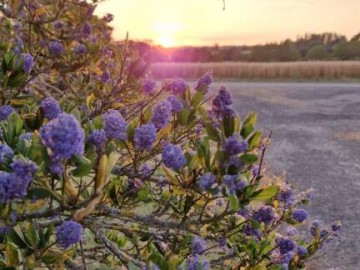 Au Gré des Saisons