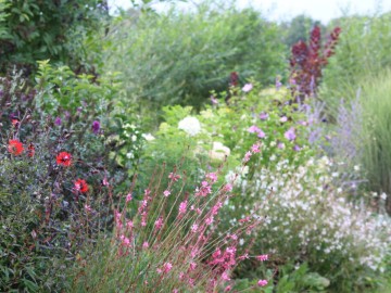 Le Petit Gîte dans notre Jardin Bonchamp