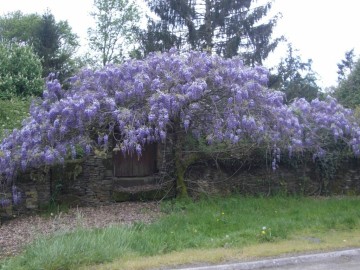 Gîtes de France Sarthe