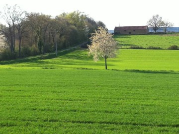 Gîtes de France Sarthe