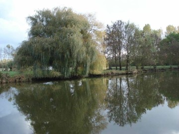 Gîtes de France Vendée