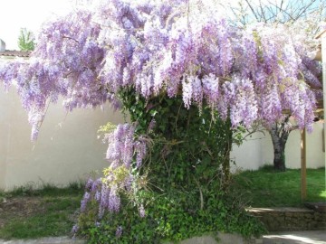 Gîtes de France Vendée