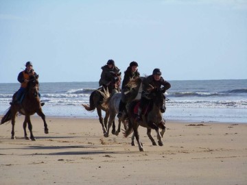 Gîtes de France Vendée