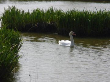 Gîtes de France Vendée