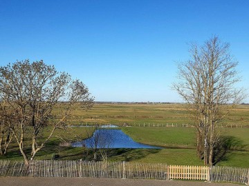 Vue du 1er étage, accès à l'étang sécurisé-La Dune-85 Triaize-photo14