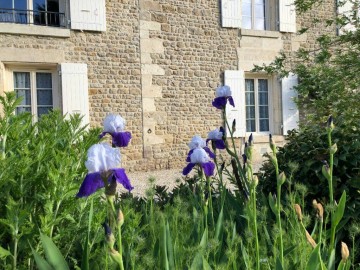 Gîtes de France Vendée