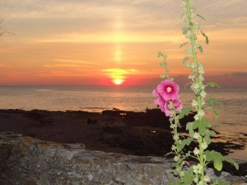 Vendée des Iles