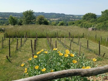 Gîtes de France Vendée