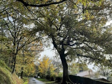 Gîtes de France Vendée