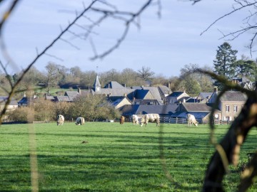 La Bazouge des Alleux