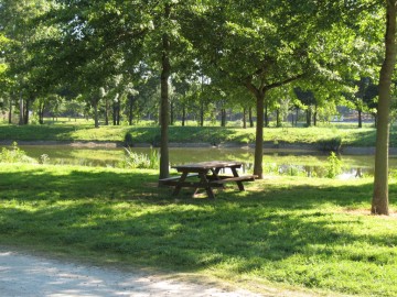 © Mairie de Chalonnes-sur-Loire