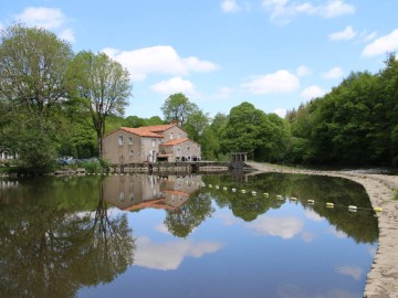 gite-graveleau-st-malo-du-bois-85