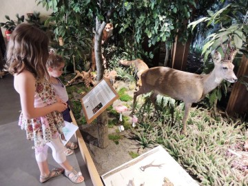 Maison de la Foret Arche de la Nature Zoos et sites de loisirs