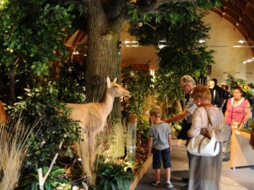 Maison de la Foret Arche de la Nature Zoos et sites de loisirs