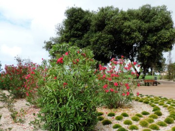 Jean-François Brossier Ville des Sables d'Olonne