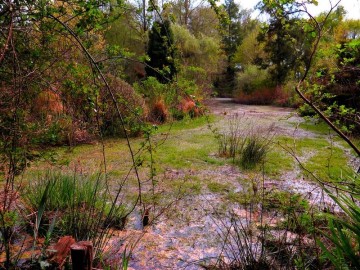 @ Les Jardins du Marais