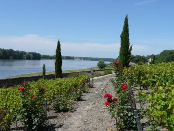 ©mairie de Sainte Gemmes sur Loire