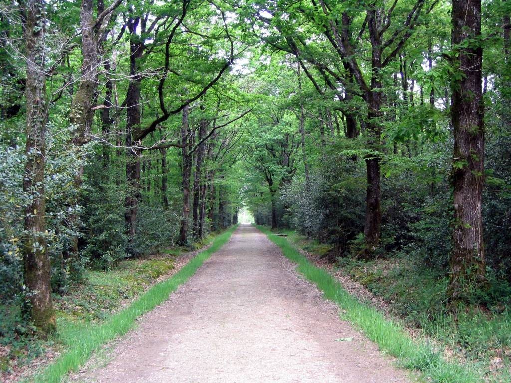 Sentier De La Lisiere A Pied France Pays De La Loire 