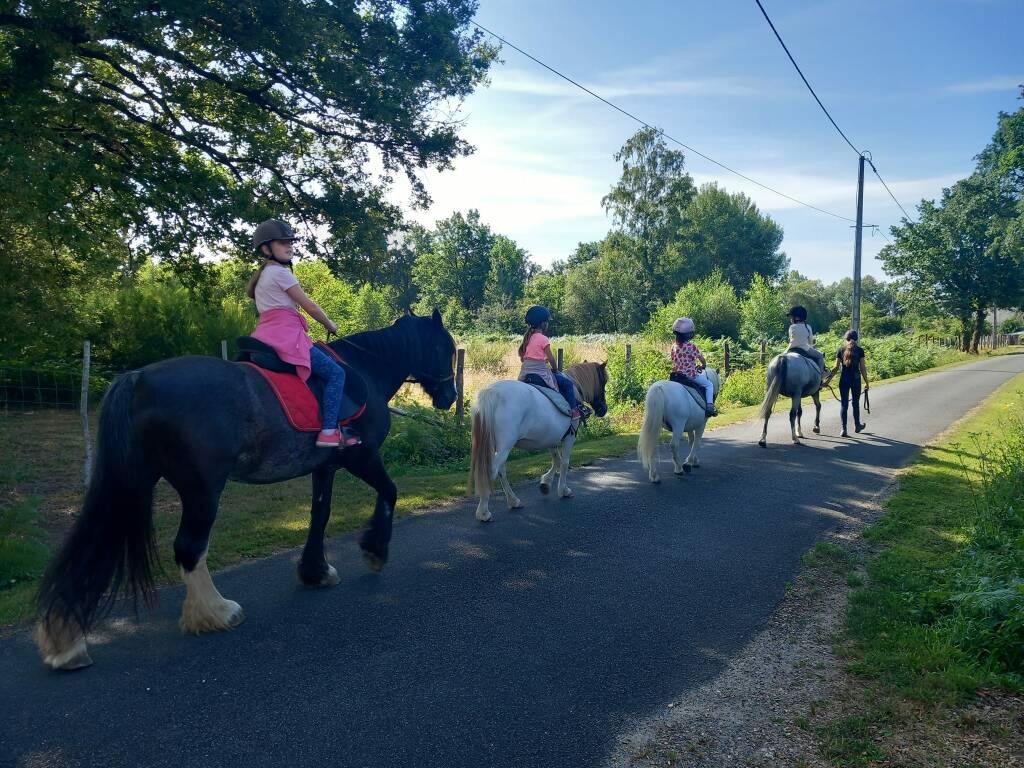 LES CHEVAUX DE LA ROSIERE: Autour du cheval France, Pays de la Loire